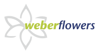 Blumen - weber