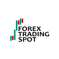 Spot trader fx - proprietary trading