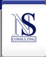 Ns consulting