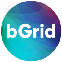 Bgrid