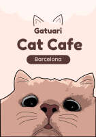 Barcelona cats