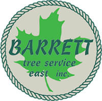 Barretts tree service