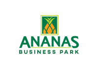 Ananash it & solutions ltd.