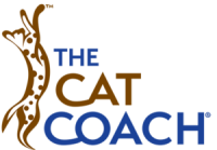 Cat behavior coach