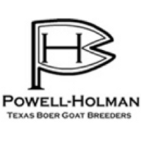 Powell-holman