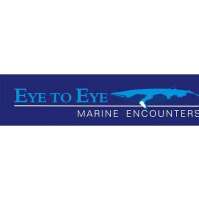 Eye to eye marine encounters