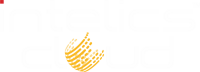 Intelics solutions nigeria limited