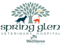 Spring glen veterinary clinic