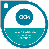 Advanced credit management