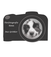 Dialog hund-mobile hundeschule bonn