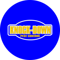 Knock down pest control