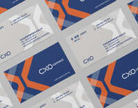 Cxo project pte ltd