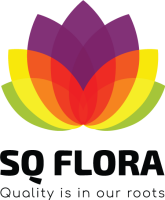 Sq flora