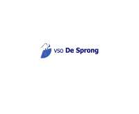 Vso de sprong