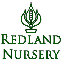 Alameda homestead nursery