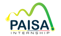 Paisa internship