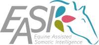 Adadsu - adapt advance succeed