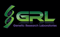 Grl group llc