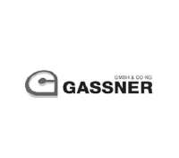 Gassner professionals & resources