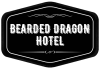 The bearded dragon boutique hotel