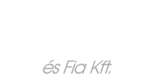 Hilcz és fia kft.
