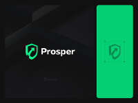 Prosper finance