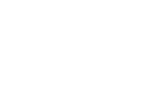 Vietnamese professionals network in the us - vnpn