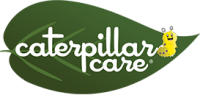 caterpillar care