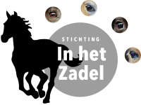 Stichting zorggroep in't zadel
