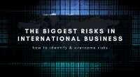 Business risks international