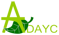 Adalid asesores y consultores