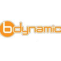 B dynamic marketing & distribution