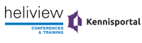 Heliview Professional Marketing Services