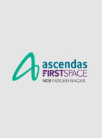 The accendos group ltd.