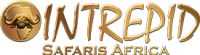 Intrepid safaris africa