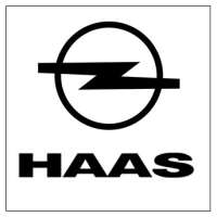 Georg haas gmbh & co kg automobile