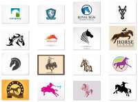 Everything horses