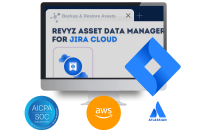 Asset data manager