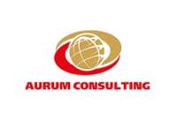 Aurum consulting group, llc