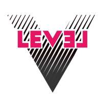 Level v
