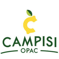 Campisi