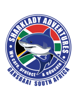 White shark adventures