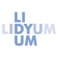 Lidyum bilişim teknolojileri