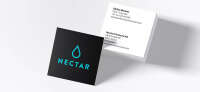 Nectar financial ag