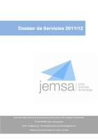 Jemsa, junior empresa de santiago