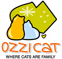 Ozzi cat