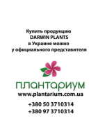 Darwin plants