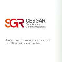 Cesgar sgr confederación española de sociedades de garantía recíproca