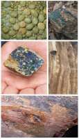 Econatura - economía recursos naturales, s.l.