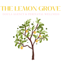 The lemon grove